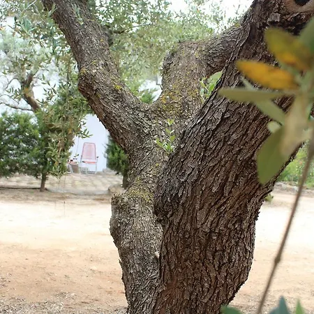Casa Ciclamino * Maruggio