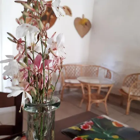 Casa Ciclamino Apartamento