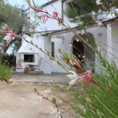 Casa Ciclamino *
