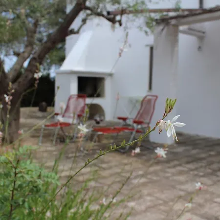 Casa Ciclamino شقة *